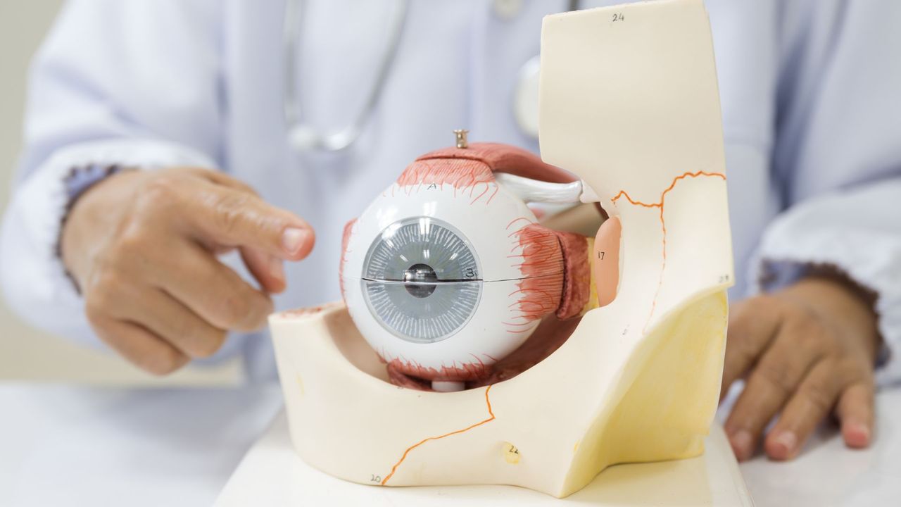 Blockbuster Eye Amgen set for ‘at-risk’ launch of blockbuster eye drug biosimilar ...